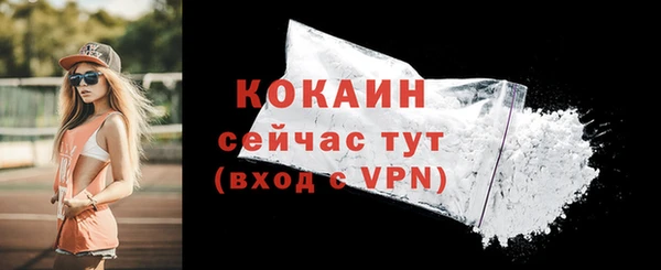 соль ск Гусь-Хрустальный