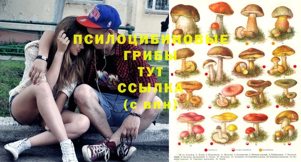бутик Белокуриха
